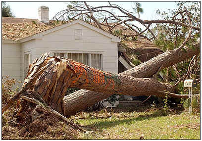  Literally thousands of homes have trees down on them. (hurr-ivan_dam-pic04.jpg, 30 KB)  